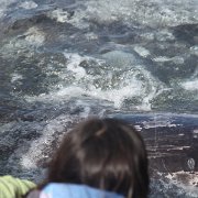 IMG 0001 2 (47)